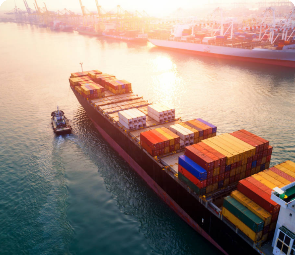 Paying for their export expenses Paying for their export expenses