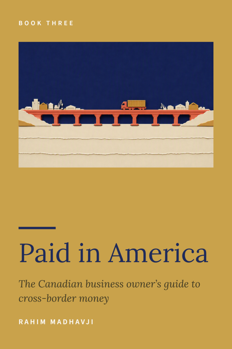 Paid in America by Rahim Madhavji